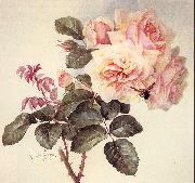 Longpre, Paul De Roses Germany oil painting artist